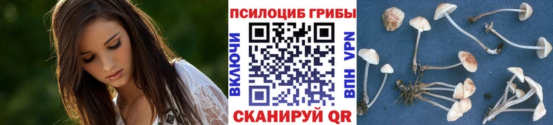 Купить закладки  Рыльск  Галлюциногенные грибы Psilocybine cubensis 